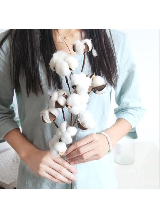 سيقان القطن الاصطناعي الأبيض 10 رؤوس نباتات مزيفة ديكور المنزل باقات الزفاف - Image 4